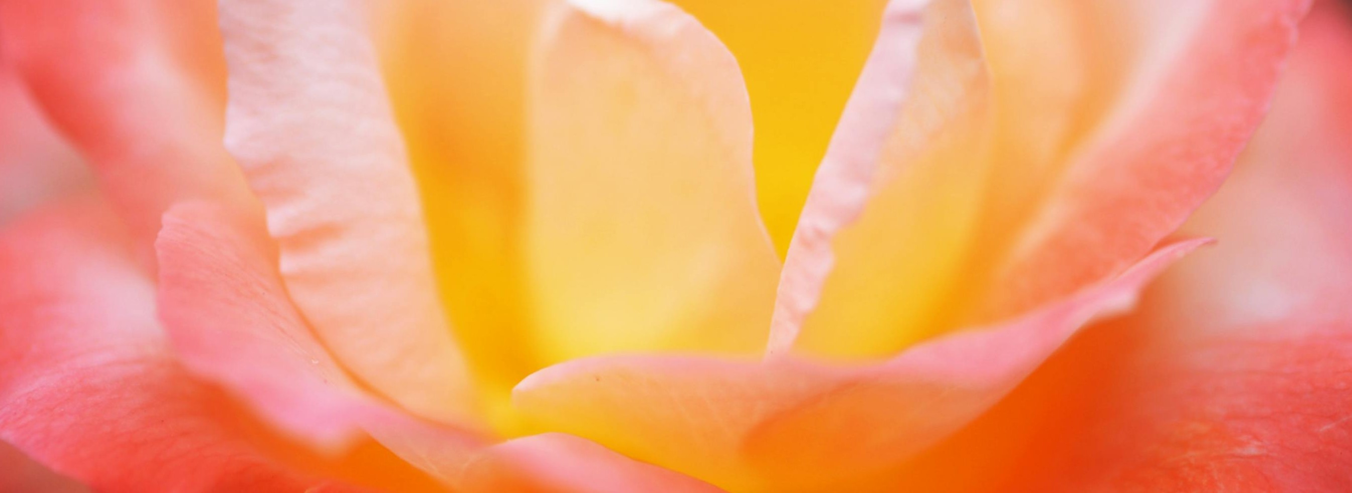 background_photo