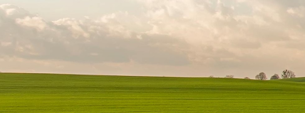 background_photo