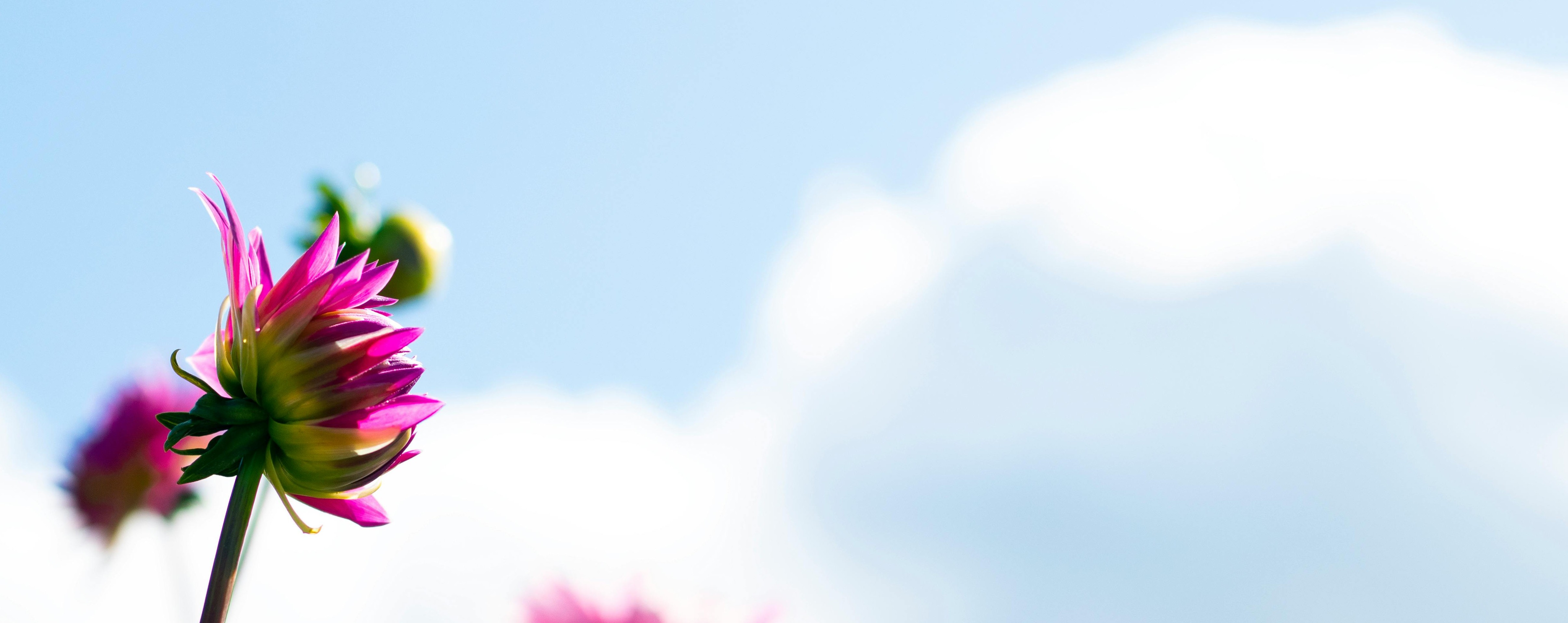 background_photo