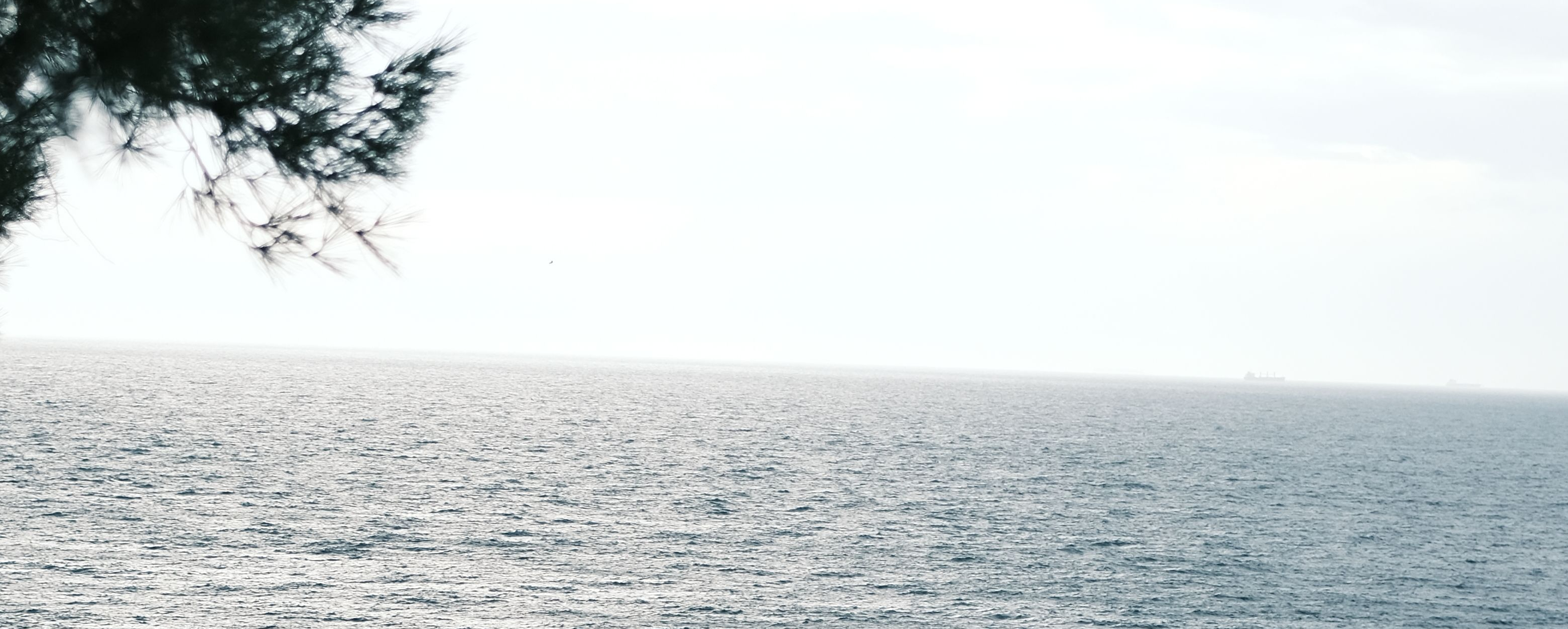 background_photo