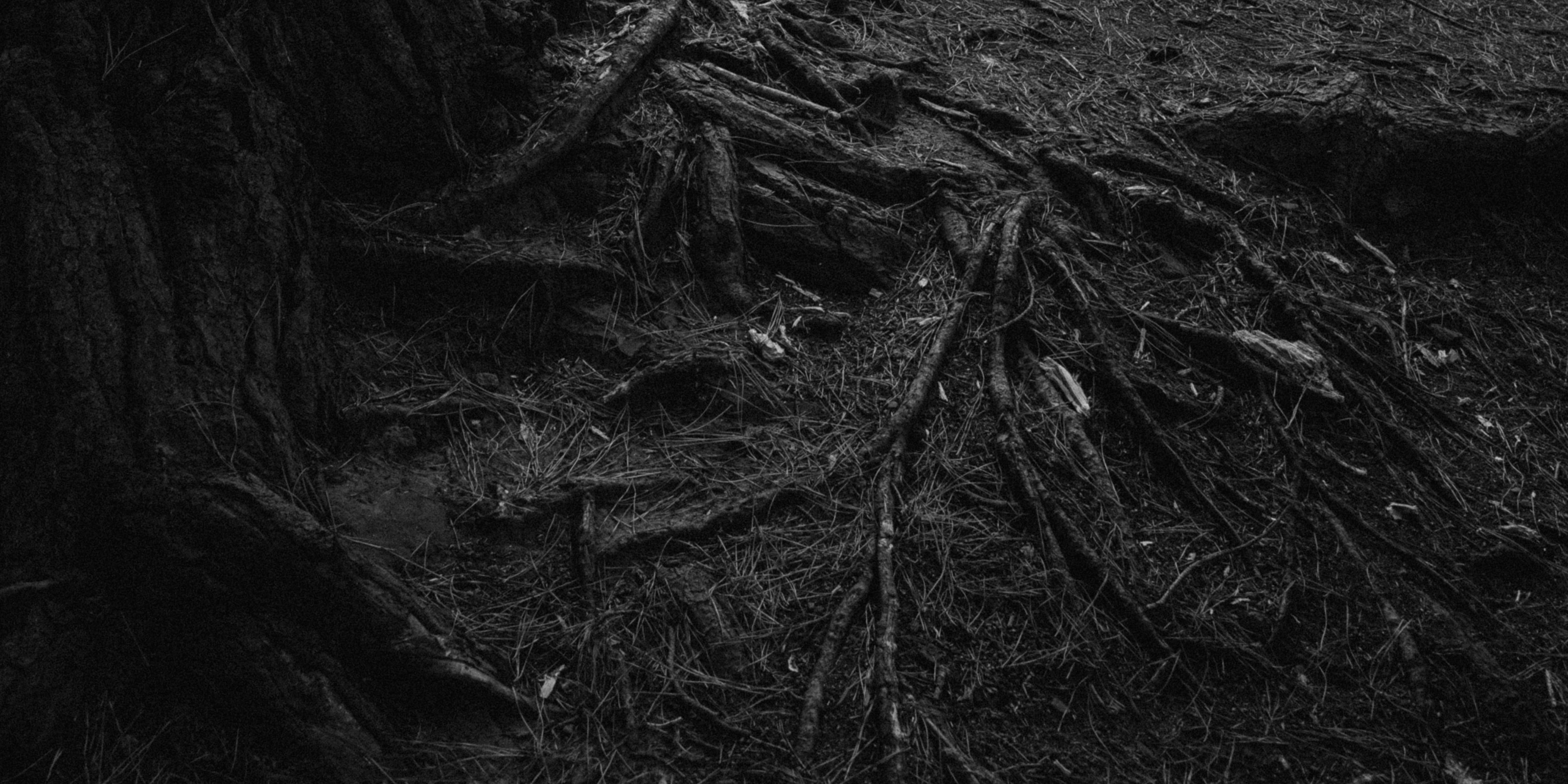 background_photo
